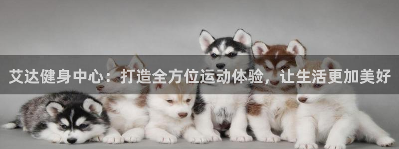 意昂4官方网站