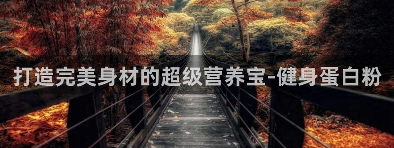 意昂4官方网站