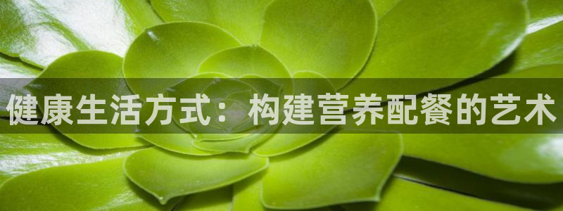意昂4代理