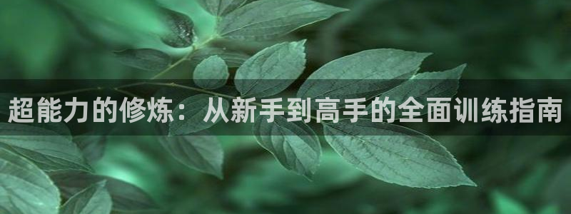 意昂4官方平台
