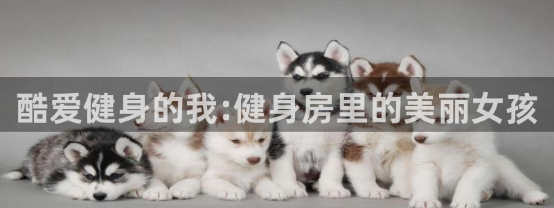 意昂4娱乐
