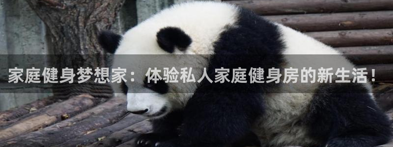 意昂4注册