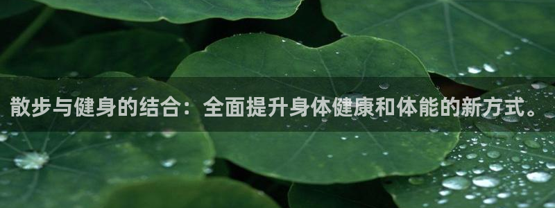 意昂4官网