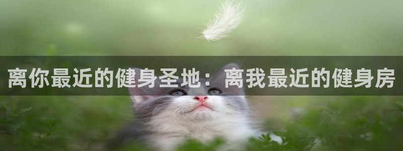 意昂4娱乐