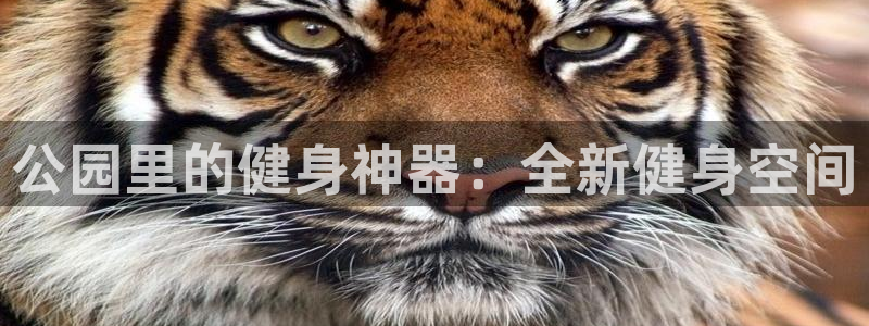 意昂4官网