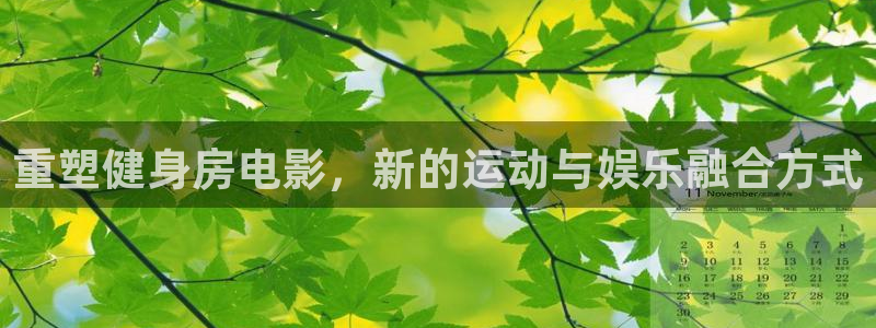 意昂4官方平台